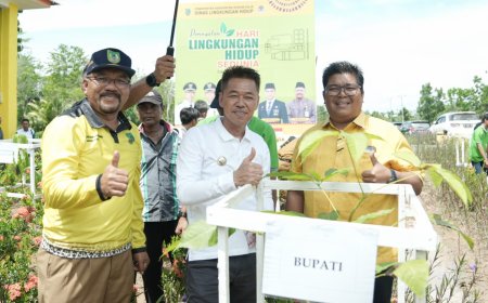 Peringatan HLH Sedunia, Bupati Rohil dan DLH Tanam 500 Pohon
