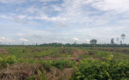 Konflik Lahan di Sempadan Siak-Bengkalis, Warga Sebut ada Dugaan Mafia Tanah