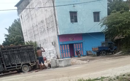 Aktivis Sorot Pengusaha Arang Gundulkan Hutan Bakau di Desa Kadur Bengkalis