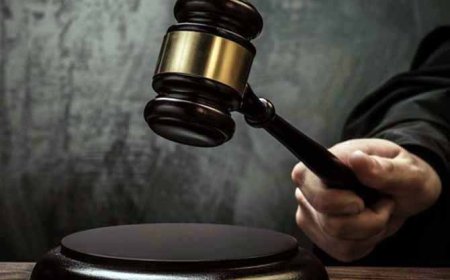 PT Duta Swakarya Kalah di PTUN Jakarta, Aktivis Lingkungan Hidup Riau Bilang Begini