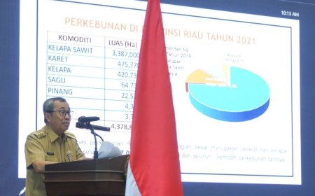 Atasi Persoalan Sawit di Riau, Gubri Syamsuar Gerakkan Program Zapin