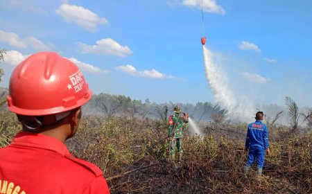 Hujan Bantu Kendalikan Karhutla di Riau, Heli Water Bombing Dialihkan ke Provinsi Lain