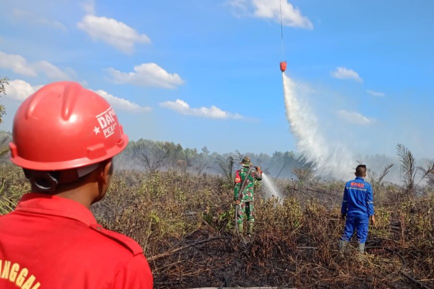 Hujan Bantu Kendalikan Karhutla di Riau, Heli Water Bombing Dialihkan ke Provinsi Lain