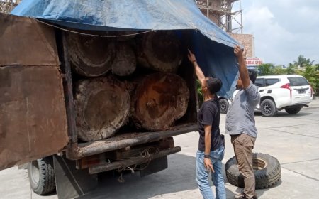 Polsek Kampar Kiri Amankan Satu Unit Mobil Pengangkut Ilegal Logging