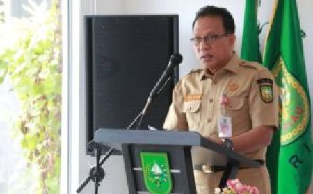 Sudah Diumumkan, Begini Cara Cek Kelulusan PPPK Guru dan Teknis Pemprov Riau