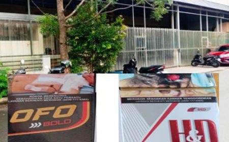 Pabrik Rokok H&D dan OFO Diduga Tak Bercukai Beroperasi di Komplek Mega Jaya Industrial Park Batam