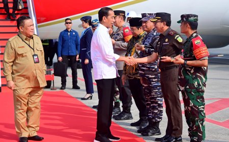 Kunjungan Kerja di Riau, Presiden Jokowi Resmikan Sejumlah Proyek