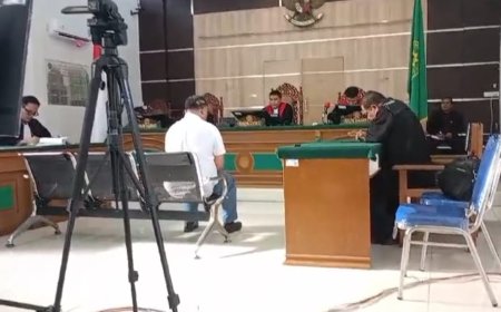 Perambah Hutan di Desa Lubuk Gaung Divonis 3,5 Tahun Denda 1 M