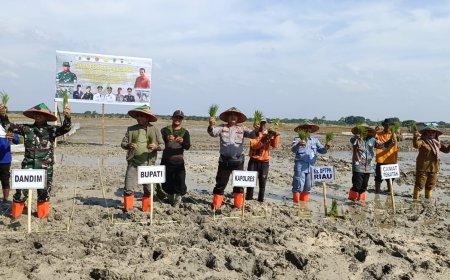 Dukung Ketahanan Pangan Nasional, Kodim 0321 Rohil Perdana Tanam Padi Sawah