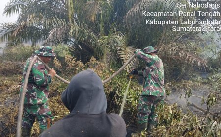 Sinergi Kodim 0321/Rohil dengan Tim Gabungan lakukan Verifikasi dan Pemadaman Titik Api