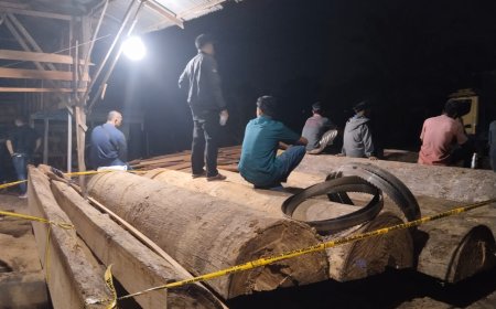 Satreskrim Polres Kampar, di Dampingi Kapolsek Siak Hulu Ungkap ilegal logging