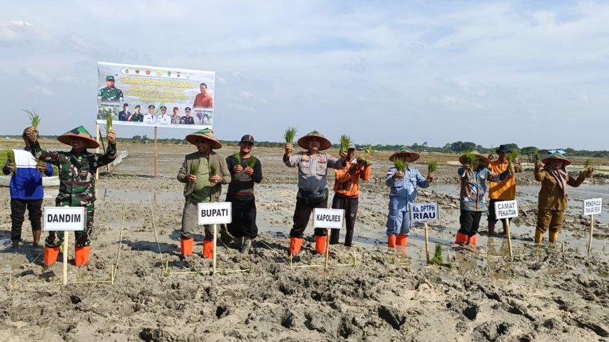 Dukung Ketahanan Pangan Nasional, Kodim 0321 Rohil Perdana Tanam Padi Sawah