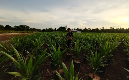 Koperasi Bina Tani Buruk Bakul Diduga Catut Nama  KLHK, Albert: Itu Bodong!