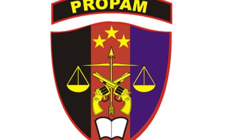 PETIR Laporkan Oknum Personil Polda Riau Ke Propam Mabes Polri