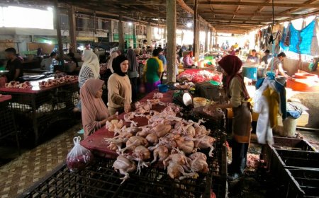 Masih Stabil, Disperindagkop UKM Riau Pantau Sembako Jelang Puasa