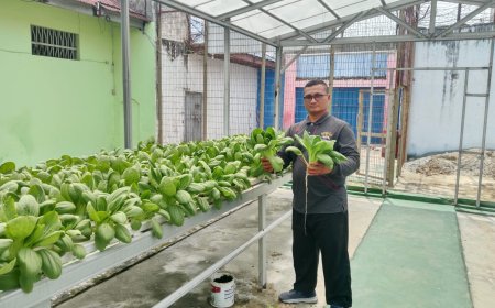 Lapas Kelas IIA Pekanbaru Berdayakan Lahan Brandgang, Hasilkan Panen Sayur