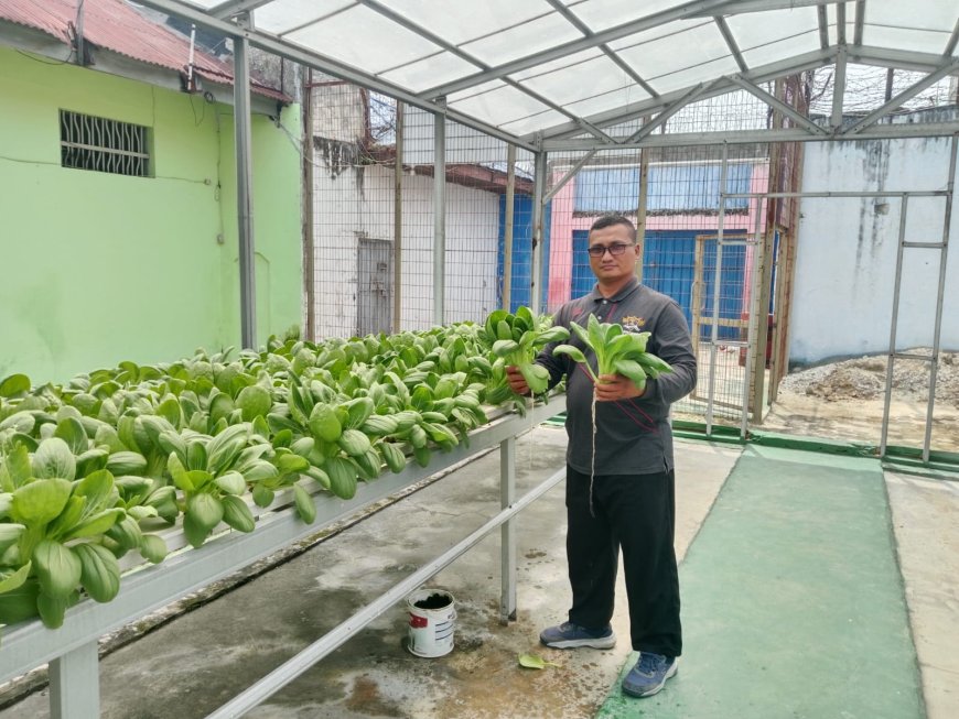 Lapas Kelas IIA Pekanbaru Berdayakan Lahan Brandgang, Hasilkan Panen Sayur