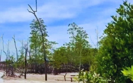 Pemkab Rohil Segera Kembangkan Wisata Pantai Sungai Sirih