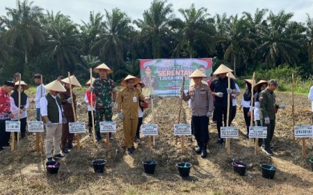 Pemda Pelalawan Ikuti Penanaman Jagung Serentak 1 Juta Hektar