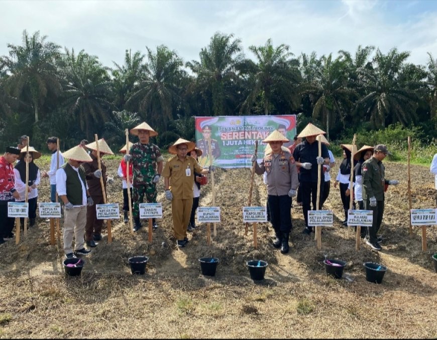 Pemda Pelalawan Ikuti Penanaman Jagung Serentak 1 Juta Hektar