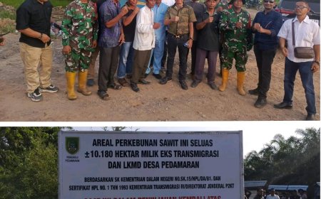 Satgas PKH Sita Areal Kebun Sawit PT JJP Rohil