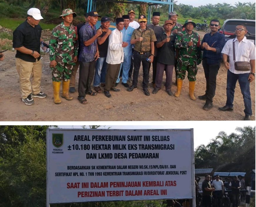 Satgas PKH Sita Areal Kebun Sawit PT JJP Rohil