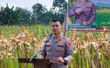 Polres Inhu dan PT TJS Gelar Panen Raya Jagung Pipil