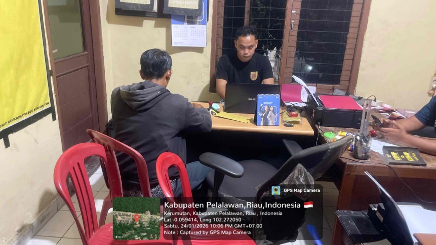 Polsek Kerumutan Ungkap Kasus Pencurian Buah Kelapa Sawit di PT Sari Lembah Subur