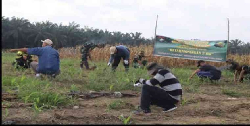 Program Ketahanan Pangan, Satgas TMMD ke-127 Kodim 0301/Pekanbaru Tanam Jagung, Cabai dan Ubi